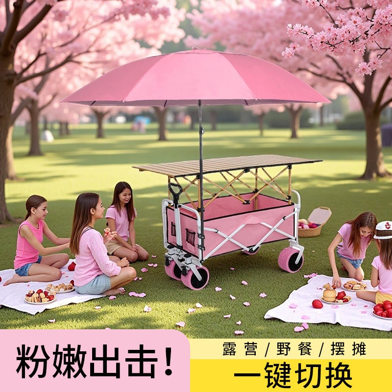 Roze Camper Opvouwbare Vouwwag - Car Accessories You Must Have recensie en prijs